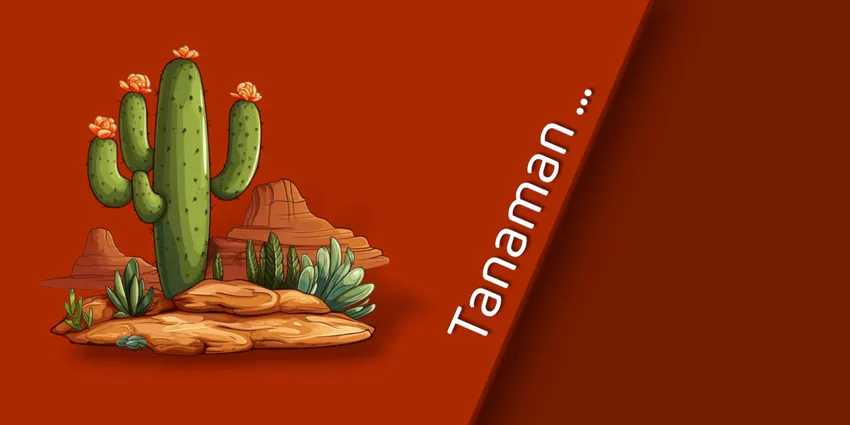 Kemiri Manfaat dan Keunikan Tanaman yang Multifungsi